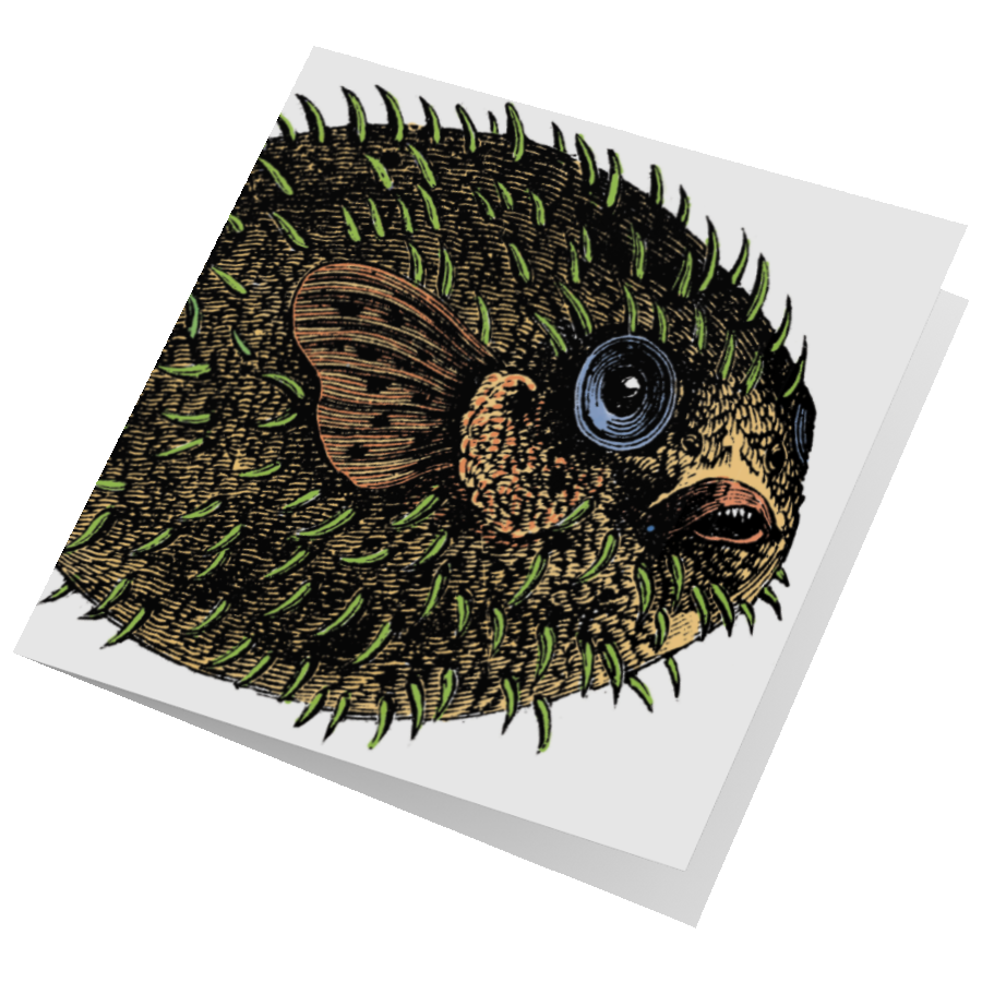 Puffer Fish Card